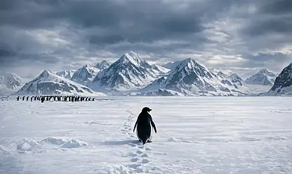 Beyaz Sonsuzluğa Yürüyüş: İnterneti Ağlatan O Görüntünün Perde Arkası