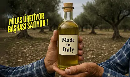 Milas'ta üretilen zeytin yağı Avrupa'da 'İtalyan' diye satılıyor
