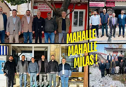 MHP Milas, Vatandaşın Kapısını Tek Tek Çalıyor: 'Derdiniz Derdimizdir'