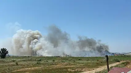 Milas Avşar Mahallesi'nde Otluk Alanda Çıkan Yangın Büyüyor
