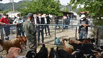 Milas Bayır Hayvan Pazarı 19 Nisan'da Yeniden Açılıyor