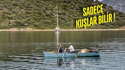 Milas'ın en huzurlu köyü seçildi