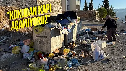 Milas'ta Çöpler Yolları Kapladı, Kokular Mahalleye Yayıldı: Vatandaşlar İsyan Etti