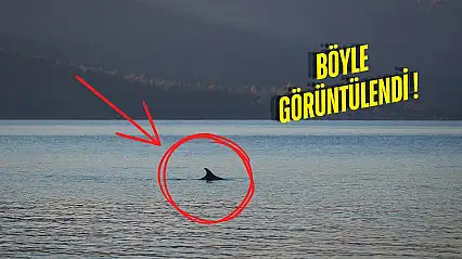 Milas'ta Eylül Sakinliğiyle Doğa Yeniden Sahneye Çıktı