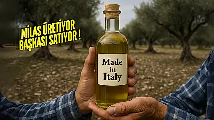 Milas'ta üretilen zeytin yağı Avrupa'da 'İtalyan' diye satılıyor