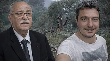 Milas'ta zeytin ağacı kesme tartışmaları büyüyor: Ahmet Kılbey'in damadı görevden alındı