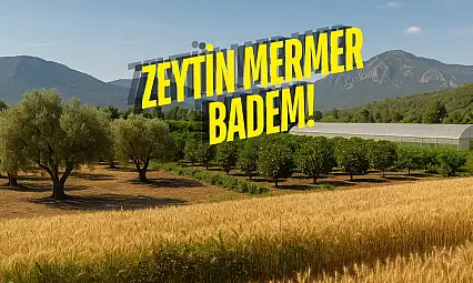 Evi Olan Kazanıyor! Muğla'nın Bu İlçelerinde Toprak Para Basıyor