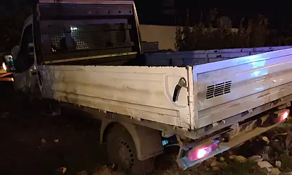 Milas'ta Aniden Yola Fırlayan Köpek, Kazaya Sebep Oldu