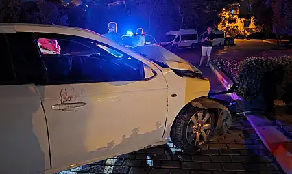 Milas'ta Otomobil ve Kamyonet Kafa Kafaya Çarpıştı: 1 Kişi Yaralandı