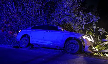 Milas'ta virajı alamayan otomobil kaza yaptı: İçinden mülteci grubu çıktı