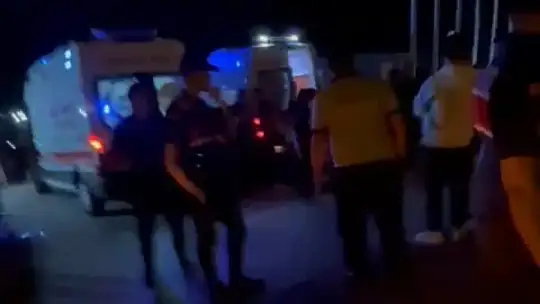 Milas'ta faciaya davetiye: domuz yola çıktı, 3 araç çarpıştı, 1 yaralı