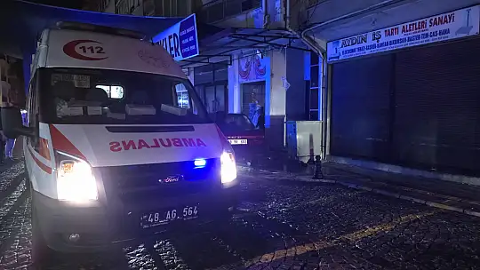 Milas'ta alkollü sürücü dehşeti: Kontrolden çıkıp 2 iş yerine ve motosiklete çarptı