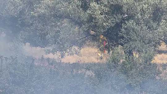 İtfaiye ve Orman Ekipleri Yangını Zamanında Durdurdu