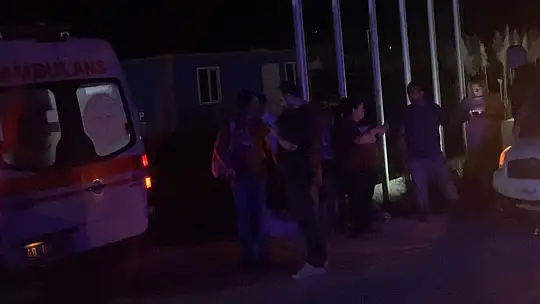 Milas'ta faciaya davetiye: domuz yola çıktı, 3 araç çarpıştı, 1 yaralı