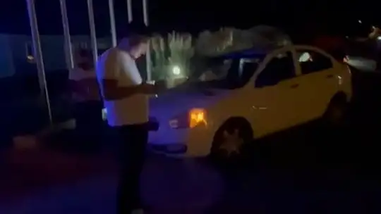 Milas'ta faciaya davetiye: domuz yola çıktı, 3 araç çarpıştı, 1 yaralı
