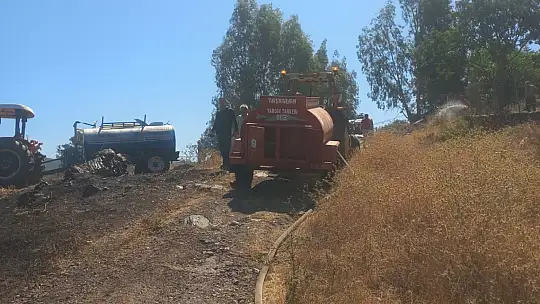 Milas'ta Elektrik Direği Yangına Neden Oldu