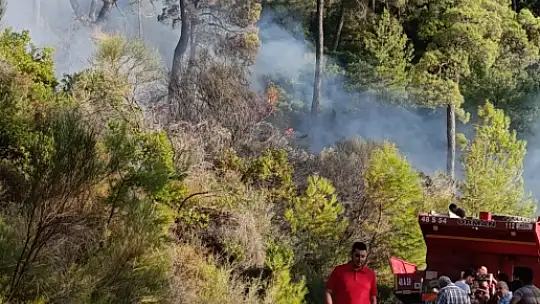Milas'ın Akçalı Mahallesi Yakınlarında Ormanlık Alanda Yangın Başladı...