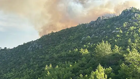 Milas'ın Akçalı Mahallesi Yakınlarında Ormanlık Alanda Yangın Başladı...