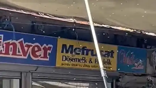 Sokak ortasında patlayan arı kovanı mahalleyi alarma geçirdi