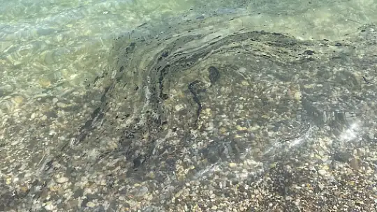 Muğla Ören'de Deniz Kirliliği Endişesi: Mazot Kokusu ve Pislik Yüzüyor