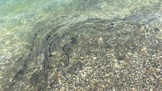 Muğla Ören'de Deniz Kirliliği Endişesi: Mazot Kokusu ve Pislik Yüzüyor