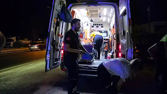 Milas'ta Kontrolden Çıkan Otomobil Şarampole Uçtu: 1 Yaralı