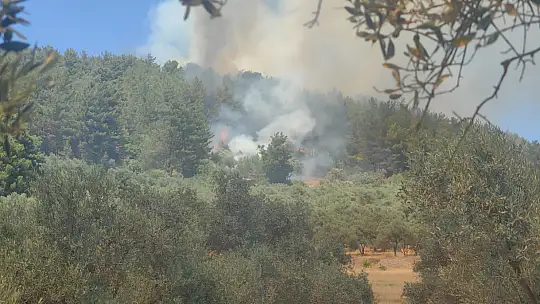Maden Sahasında Yangın Çıktı, Ekipler Anında Müdahale Etti