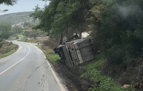 Milas'ta Kontrolden Çıkan Tır Şarampole Devrildi