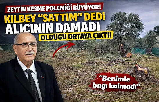 Milas'ta zeytin ağacı kesme polemiği büyüyor: Kılbey 'sattım'' dedi, alıcının damadı olduğu ortaya çıktı