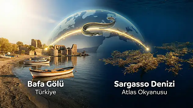 Ölümüne bir aşk yolculuğu: 7.000 km gidip bir daha asla dönmüyorlar…