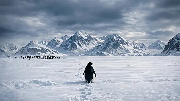 Beyaz Sonsuzluğa Yürüyüş: İnterneti Ağlatan O Görüntünün Perde Arkası