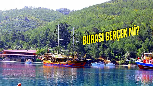 Bu koyda denize girmek yasaklanmalı: Gören gitmek istemiyor