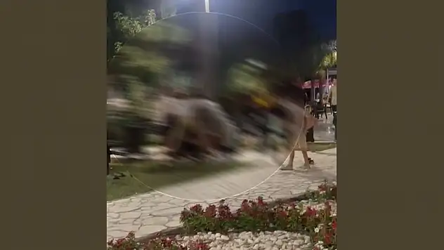 Esentepe Parkı'nda Şiddetli Kavga: Vatandaşlar Panik İçinde Parkı Terk Etti