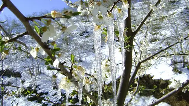 Milas Dikkat Meteorolojiden ‘Zirai Don’ Uyarısı