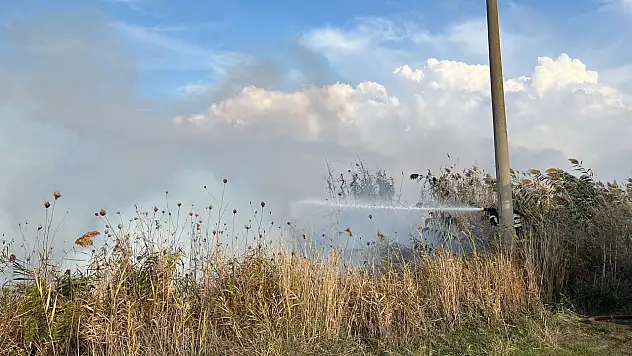 Milas Ekinambarı'nda Otluk Yangını Korkuttu