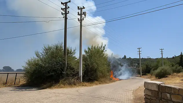 Milas'ın Kafaca Mahallesi'nde Otluk Yangını Korkuttu