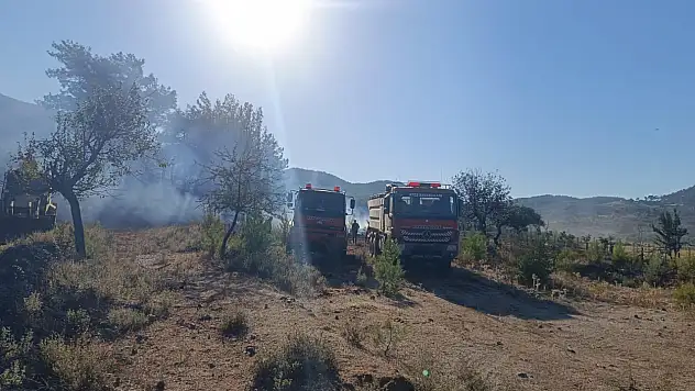 Milas'ın Karacahisar Mahallesi'nde Yangın Kısa Sürede Kontrol Altına Alındı