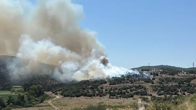 Milas'ın Meselik Mahallesi'nde Ziraat Alanında Çıkan Yangın Kontrol Altına Alındı