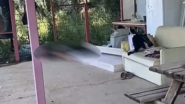 Milas'ta 55 yaşındaki Birol Tezgeç ölü bulundu