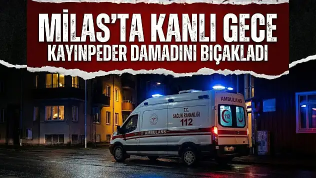 Sözlü Tartışma Şiddete Döndü: Kayınpeder ve Damat Kavgası Kanlı Bitti