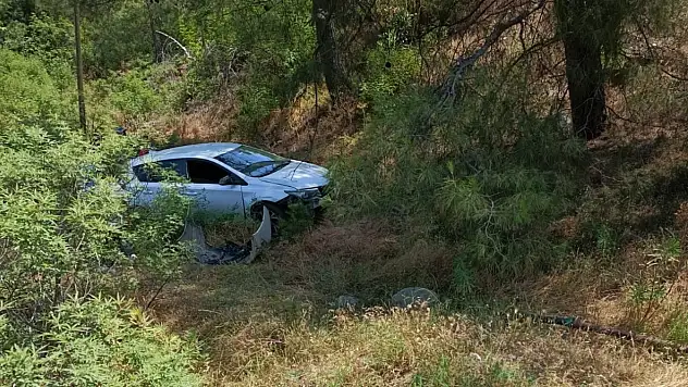Milas'ta araç ormanlık alana uçtu: Sürücü yaralandı