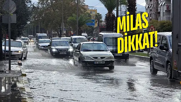 Milas'ta Cuma Günü Şiddetli Sağanak Bekleniyor: AFAD Alarm Verdi