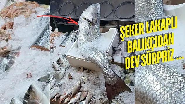 Milas'ta dev granyoz görenleri şaşırttı