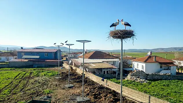 Milas'ta Doğal Dengeyi Koruyan Hamle: Leylek Ölümleri Son Bulacak