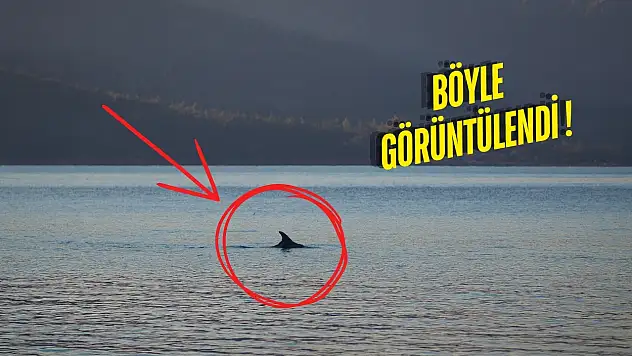 Milas'ta Eylül Sakinliğiyle Doğa Yeniden Sahneye Çıktı