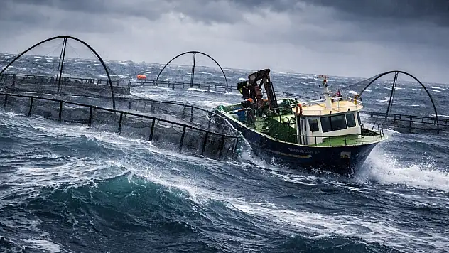 Milas'ta Fırtınaya Meydan Okuyan Ekmek Kavgası: Balıkçılar Güllük Körfezi'nde Dalgalarla Boğuştu
