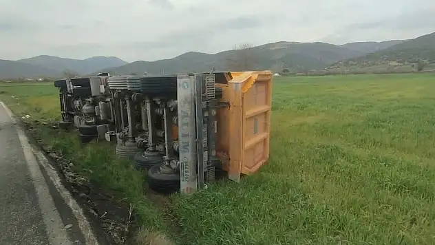 Milas'ta Korkutan Kaza: Kontrolden Çıkan Tır Tarlaya Devrildi