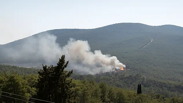 Milas'ta Peş Peşe Yangınlar: Kazıklı Mahallesi'nde Konteyner Alev Aldı