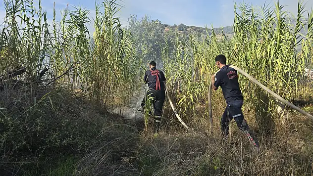 Milas'ta Sazlık Yangını Korkuttu