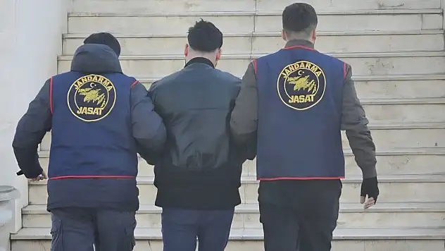 Milas'ta tarihi eser kaçakçılığı operasyonu: 111 parça ele geçirildi